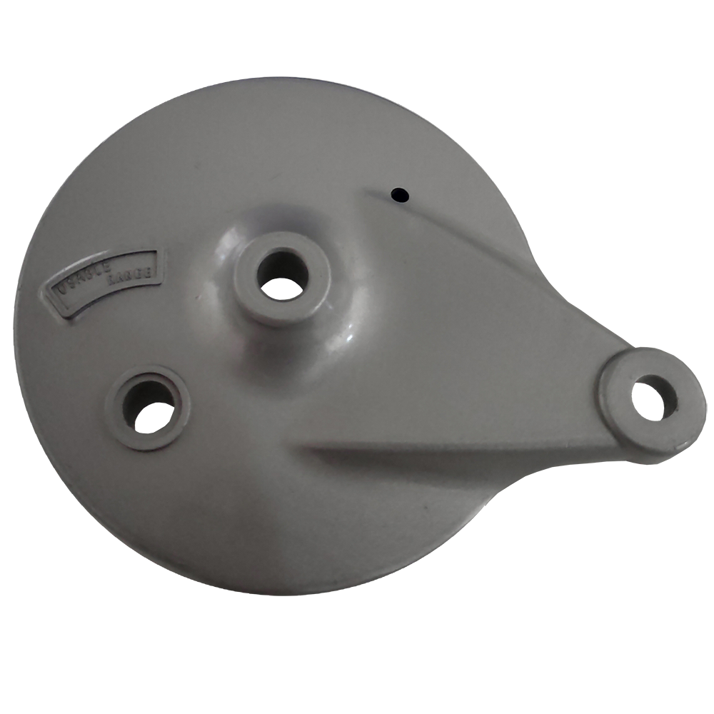 Platina 110 Rear Brake Plate Kit In Rudrapur